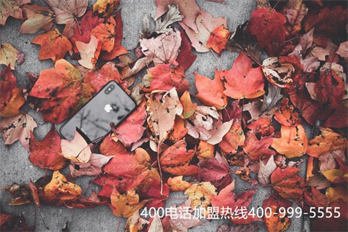 (400電話是干啥的)(400電話都是什么電話)