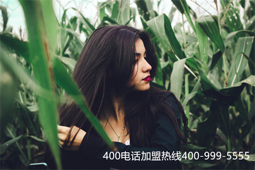 (400電話申請服務商選什么)(為什么要在服務商辦理400電話)
