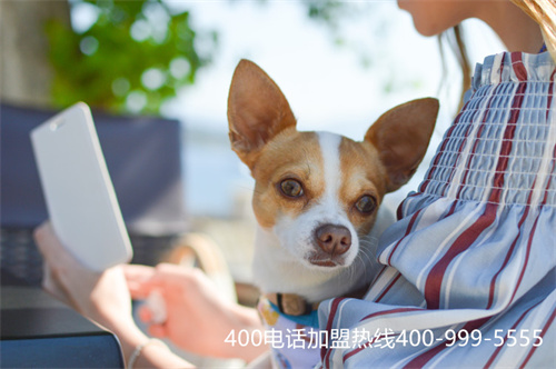 (熱門的400電話資費)(400電話的收費標準)