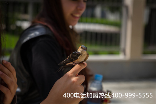 (400電話怎么收費的呢)(400電話怎么收費？如何選擇套餐？)